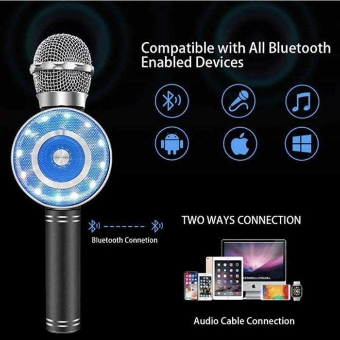 Wireless Karaoke Mic WS-669